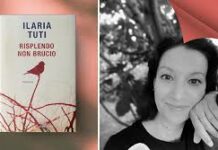 Risplendo non Brucio- Recensione del nuovo romanzo di Ilaria Tuti