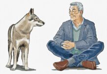 Come ti muovi sbagli – Recensione del nuovo film di e con Gianni De Gregorio e Greta Scarano