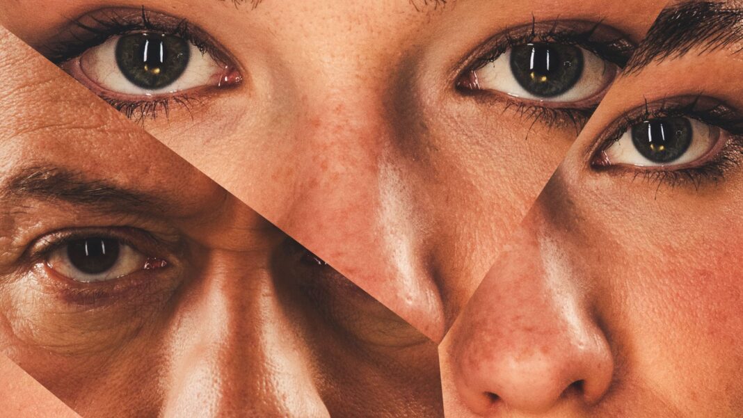 la-lezione-copertina