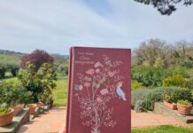 Cime tempestose : recensione (molto) diversamente ignorante