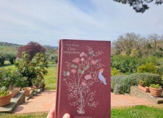 Cime tempestose : recensione (molto) diversamente ignorante