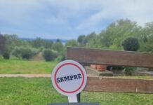 L’incartatrice di arance di Barbara Bellomo – Recensione