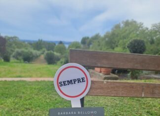 L’incartatrice di arance di Barbara Bellomo – Recensione