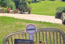 Avvocato Ligas: Perdenti e la Mantide di Gianluca Ferraris – Recensione